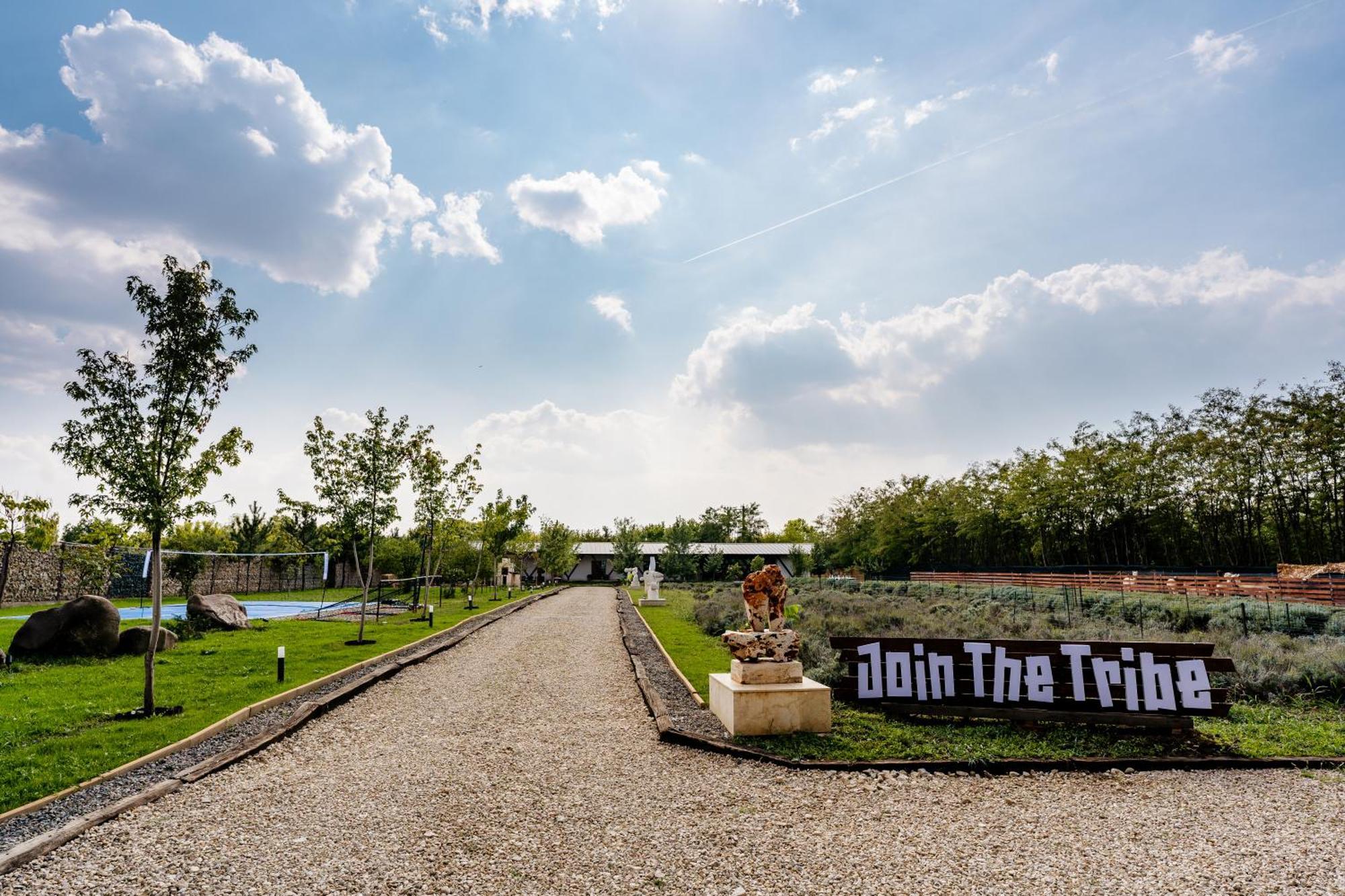 Hotel The Tribe Alpaca Retreat Branesti Zewnętrze zdjęcie