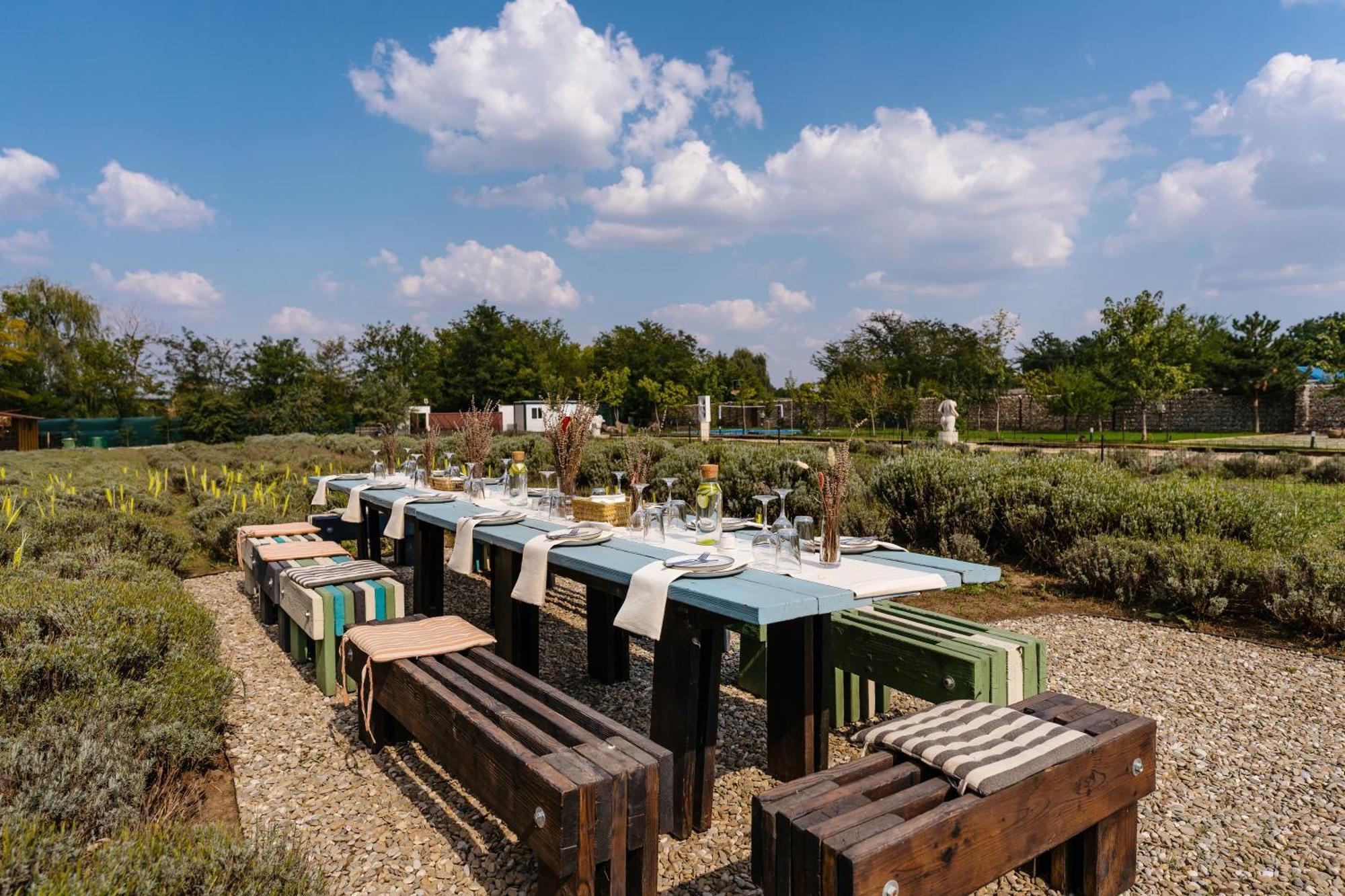 Hotel The Tribe Alpaca Retreat Branesti Zewnętrze zdjęcie