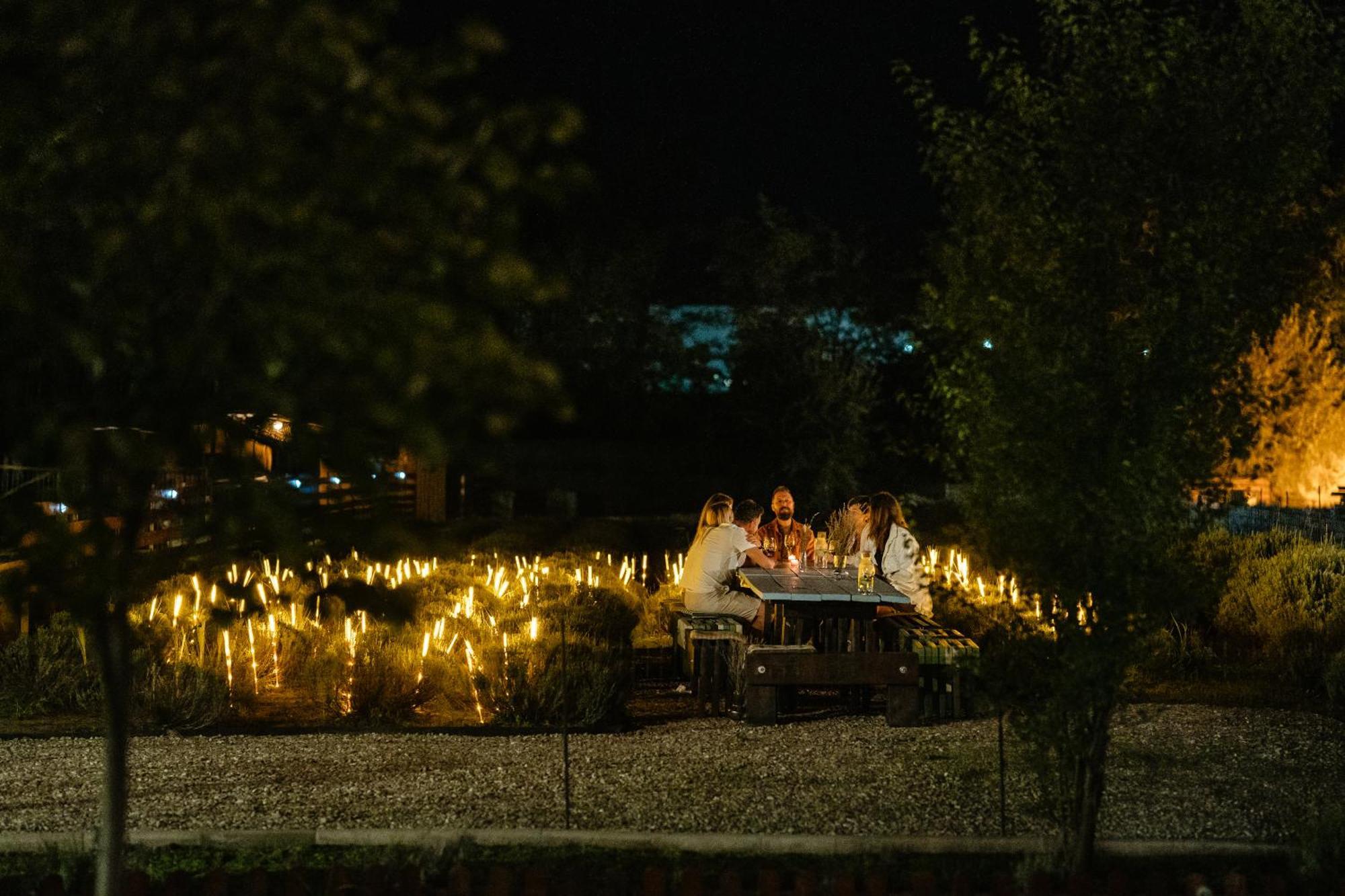 Hotel The Tribe Alpaca Retreat Branesti Zewnętrze zdjęcie